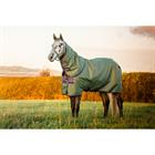 Couverture Amigo Hero Plus Med 200g Pony Horseware Vert