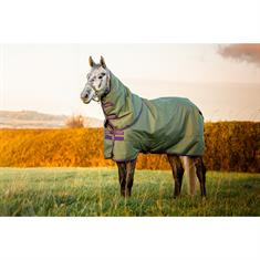 Couverture Amigo Hero Plus Med 200g Pony Horseware Vert