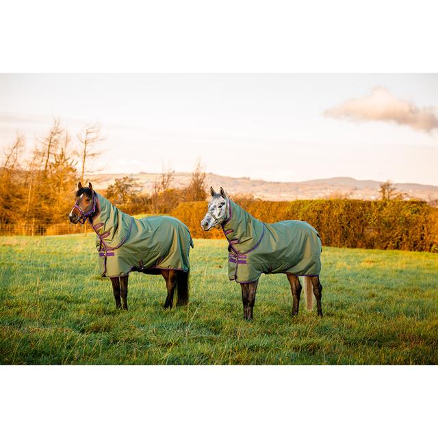 Couverture Amigo Hero Plus Med 200g Pony Horseware Vert