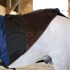 Couverture d'extérieur All Weather Waterproof Pro Tiny 300 g Kentucky Bleu foncé