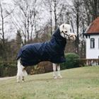 Couverture d'extérieur All Weather Waterproof Pro Tiny 300 g Kentucky Bleu foncé