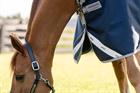 Couverture de pluie Amigo 1200D 50 g Horseware Bleu foncé-gris