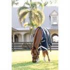 Couverture de pluie Amigo 1200D 50 g Horseware Bleu foncé-gris