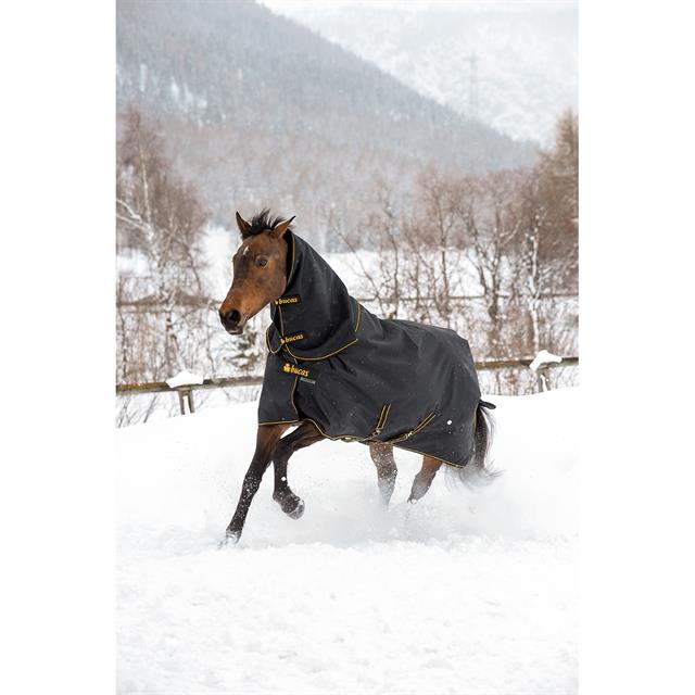 Couverture Irish Turnout Full Neck 50g Bucas Noir-doré