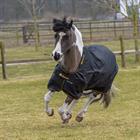 Couverture Irish Turnout Light 50g poney Bucas Noir-doré