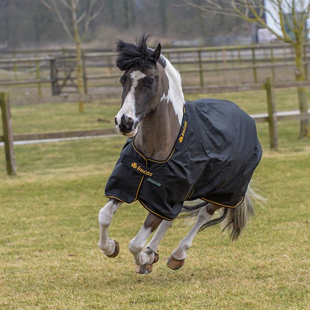Couverture Irish Turnout Light 50g poney Bucas Noir-doré