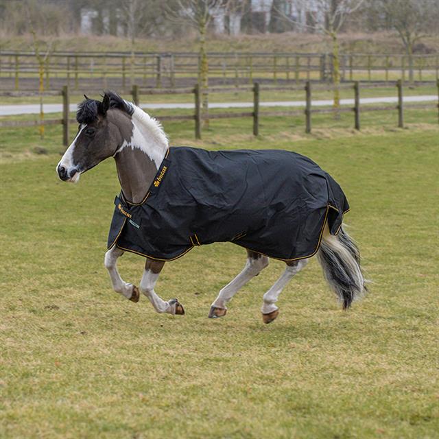 Couverture Irish Turnout Light 50g poney Bucas Noir-doré