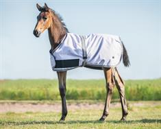 Couverture pour poulain 100 g Foal Turnout Collection QHP Mauve clair