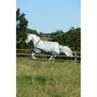 Couverture Power Turnout Medium 150g Bucas Argenté