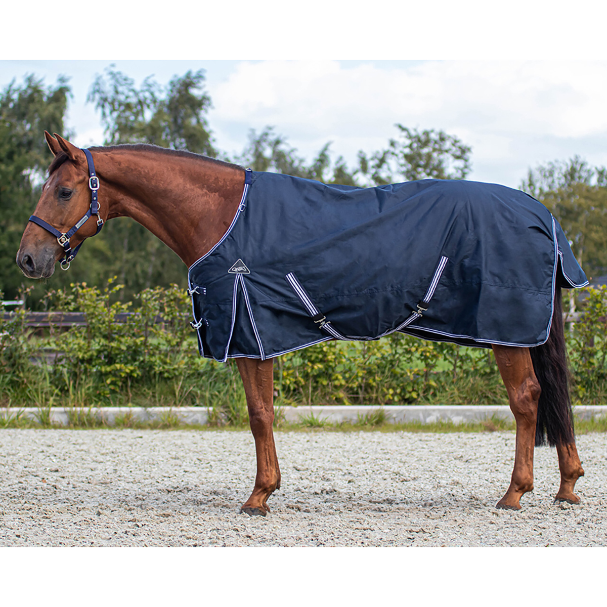 Couverture cheval imperméable Thor 200g highneck, Harry's horse.