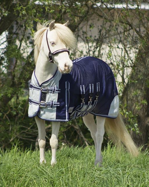 Couvre-reins Anti-Mouches Falabella QHP Bleu