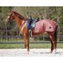 Couvre-reins Quarter Classy QHP Rose clair