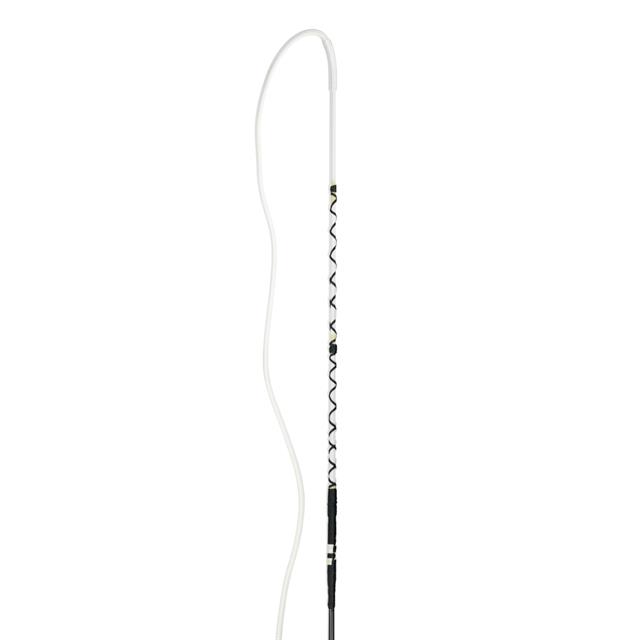 Cravache courbée Epplejeck Noir
