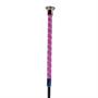 Cravache de Dressage Rainbow Chrystal Epplejeck Argenté