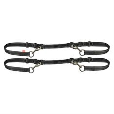 Enrênement IRHFlexi Imperial Riding