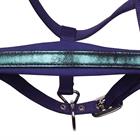 Ensemble Licol et Longe Diva Violet Harry's Horse Mauve foncé