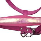 Ensemble Licol et Longe Diva Violet Harry's Horse Rose
