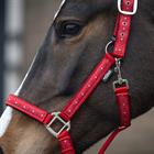 Ensemble Licol et Longe EJValentine Epplejeck Rouge