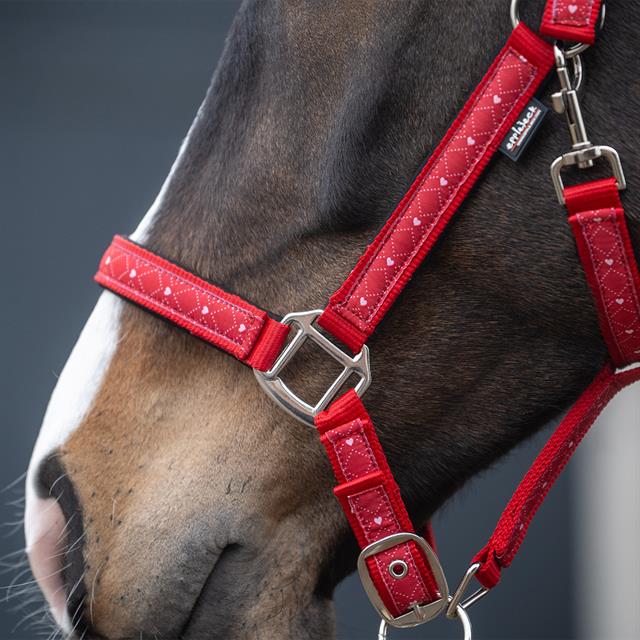 Ensemble Licol et Longe EJValentine Epplejeck Rouge