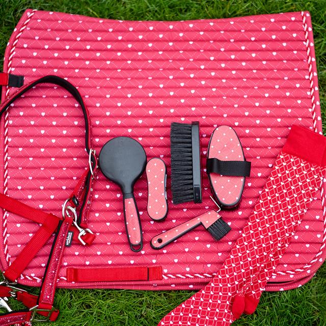 Ensemble Licol et Longe EJValentine Epplejeck Rouge