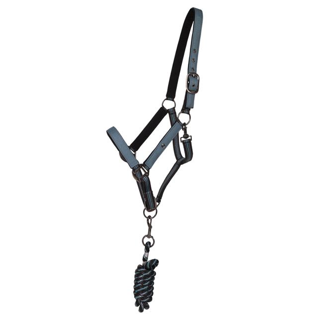 Ensemble Licol et Longe QHP Turquoise foncé