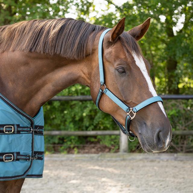 Ensemble Licol et Longe QHP Turquoise foncé
