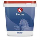 Equivital Biotin Sectolin 