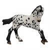 Figurine Appaloosa Poulain Foal Noir Divers