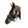 Filet Pour Naseaux Harry's Horse Noir