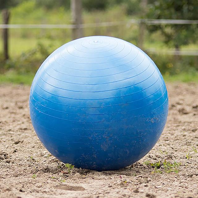 Football De Cheval Mega Bleu