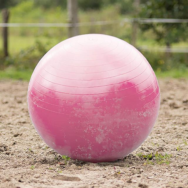 Football De Cheval Mega Rose