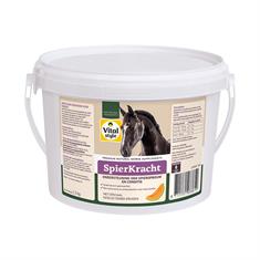 Force Musculaire 1,5 Kg VITALstyle