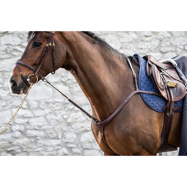Fourchette de martingale fixe D Collection by Dy'on Marron
