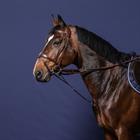 Fourchette De Martingale Howlett Nec Dy'on Marron