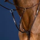 Fourchette de martingale Usc Dy'on Marron