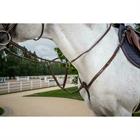 Fourchette de martingale Usc Dy'on Marron