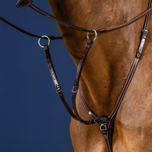 Fourchette de martingale Usc Dy'on Marron