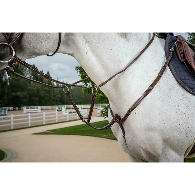 Fourchette de martingale Usc Dy'on Marron