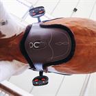 Fourreau de sangle bavette Buikflap Kentucky Marron