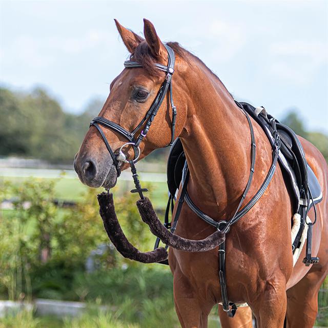 Fourreaux de rênes QHP Marron