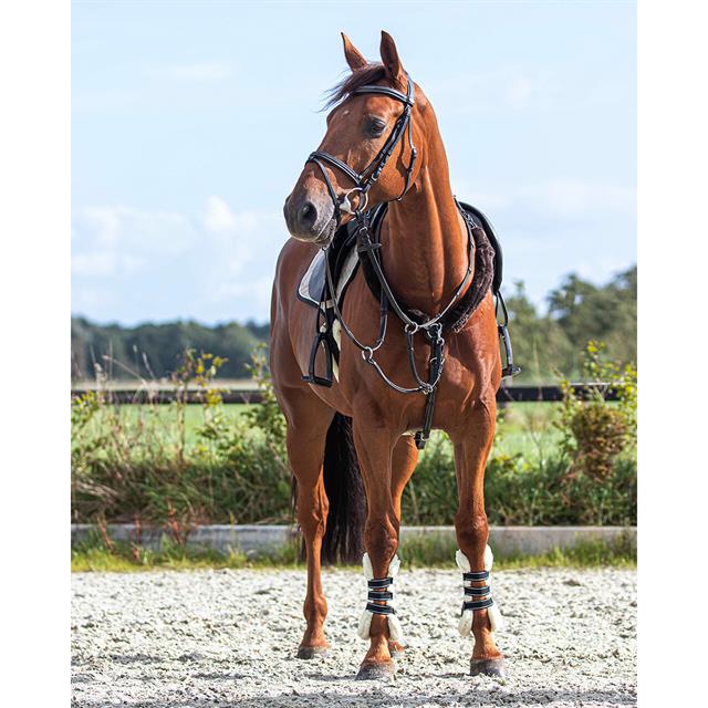 Fourreaux de rênes QHP Marron