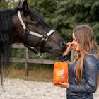 Friandises pour cheval Carrotlicious Epplejeck Orange