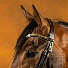 Frontal courbé clincher laiton D Collecti Dy'on Marron