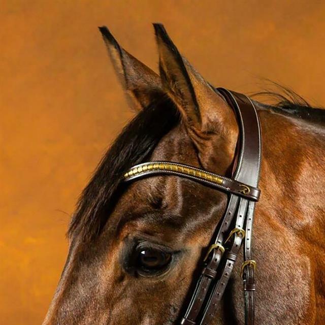 Frontal courbé clincher laiton D Collecti Dy'on Marron
