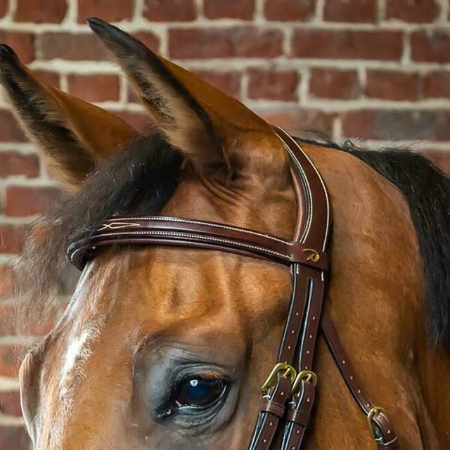 Frontal droit D Collection Dy'on Marron