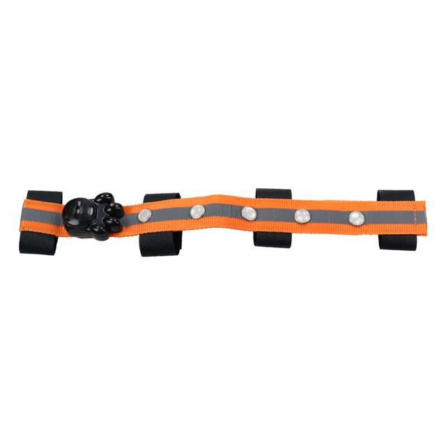 Frontal Led Epplejeck Orange