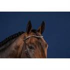 Frontal Silver Clincher V-Shaped Us Hunter Dy'on Marron