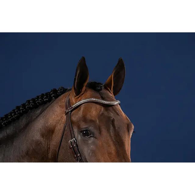 Frontal Silver Clincher V-Shaped Us Hunter Dy'on Marron