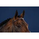Frontal Straight Zonder Pinnen Us Hunter Dy'on Marron