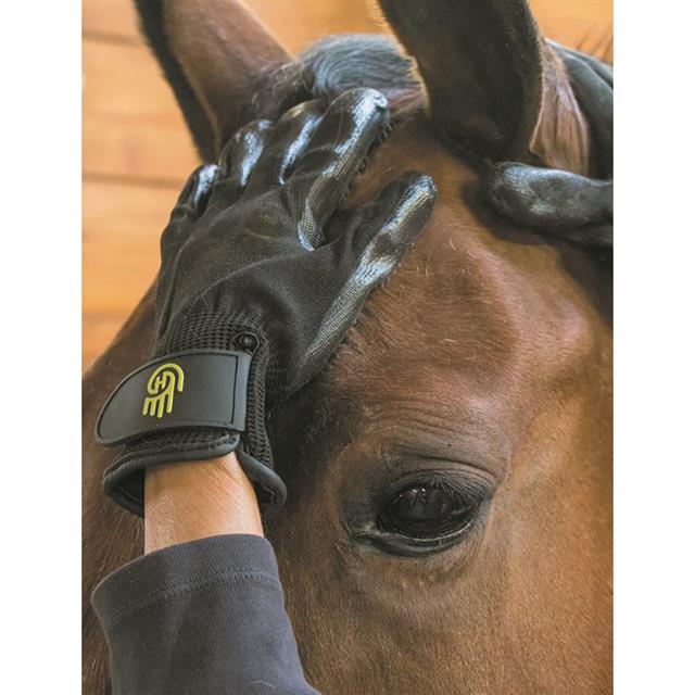 Gants de pansange HandsOn Noir